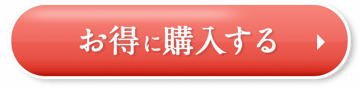 お得に購入する