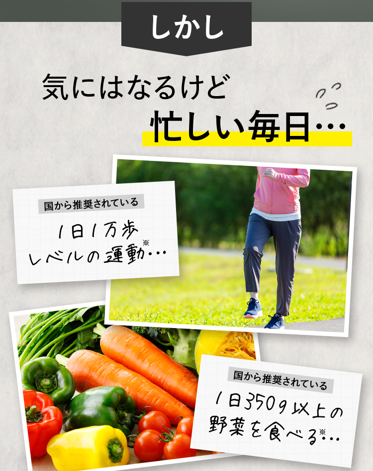 気にはなるけど忙しい毎日…