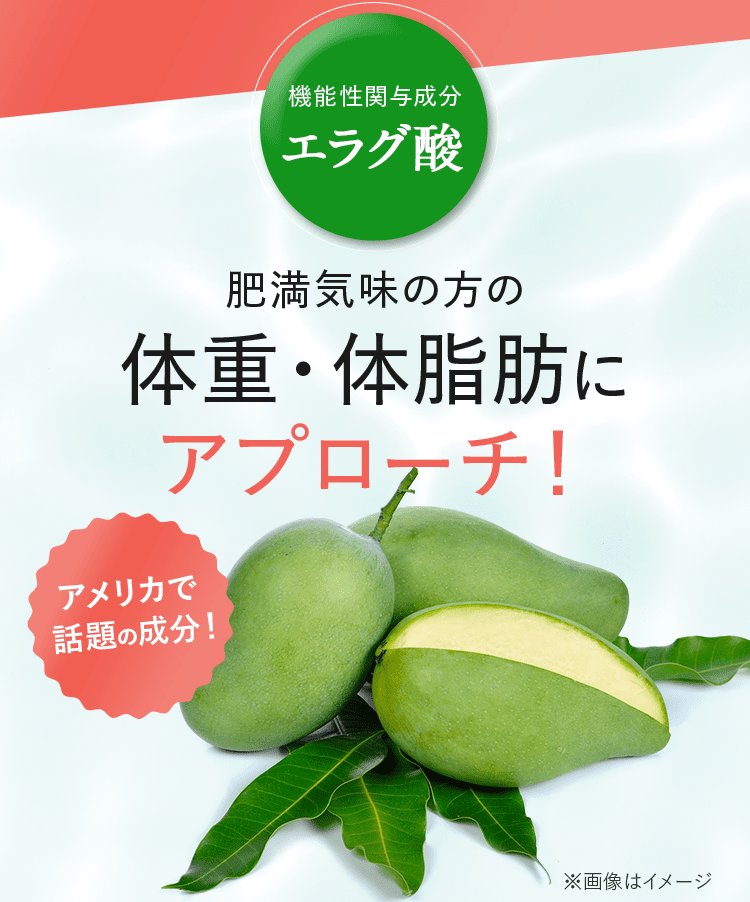 機能性関与成分 エラグ酸