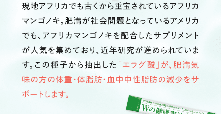 現地アフリカでも古くから重宝されているアフリカマンゴノキ。肥満が社会問題となっているアメリカでも、アフリカンマンゴノキを配合したサプリメントが人気を集めており、近年研究が進められています。この種子から抽出した「エラグ酸」が、肥満気味の方の体重・体脂肪・血中中性脂肪の減少をサポートします。