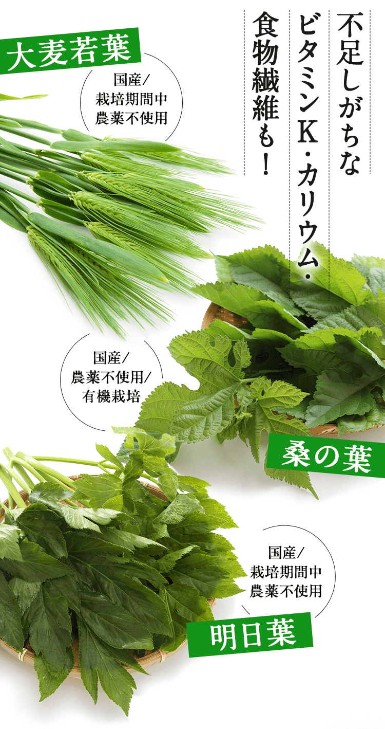 不足しがちな ビタミン・ミネラル 食物繊維たっぷり！